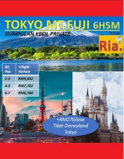 Private Tokyo Mt Fuji 6H5M