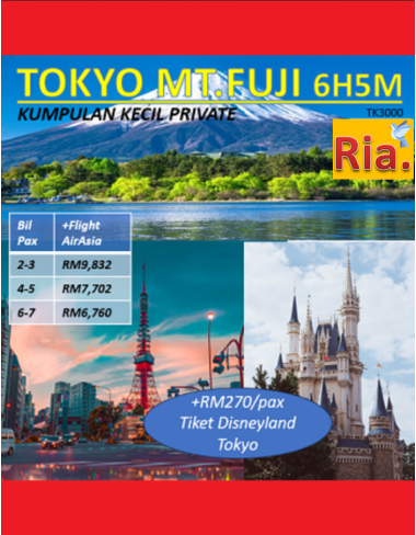 private tokyo mtfuji halal tour 6h5m