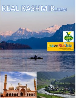 7H5M REAL KASHMIR